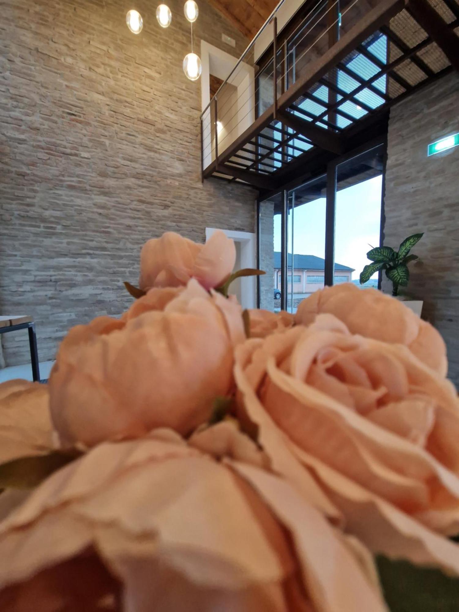 Agriturismo Corte Acconi Мантуя Екстер'єр фото