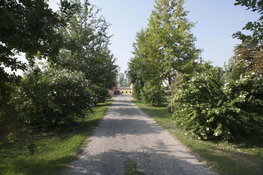 Agriturismo Corte Acconi Мантуя Екстер'єр фото