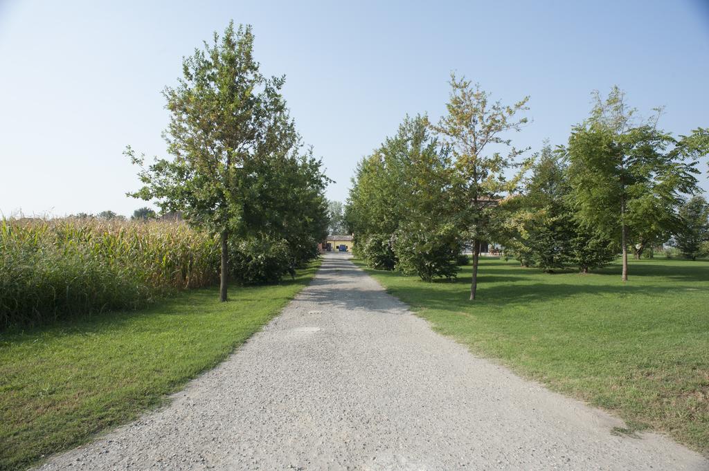 Agriturismo Corte Acconi Мантуя Екстер'єр фото